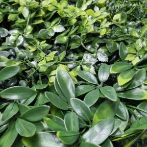 Panel Zielona ściana Secret Garden 50x50cm