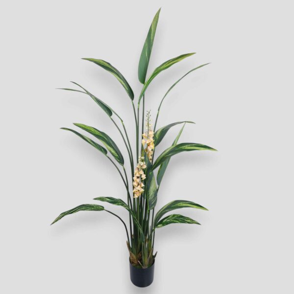 Sztuczna roślina Alpinia Zwyczajna 200cm