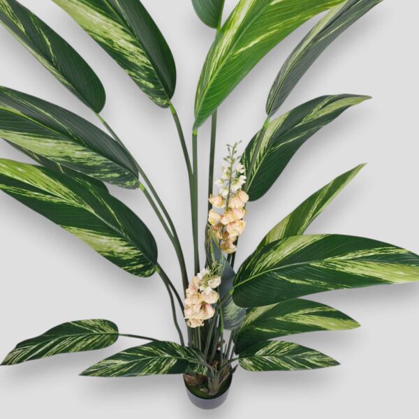 Sztuczna roślina Alpinia Zwyczajna 200cm