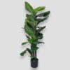 Sztuczna roślina Figowiec Fikus 120cm