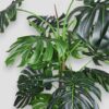 Sztuczna roślina Monstera 190cm