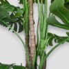 Sztuczna roślina Monstera 190cm