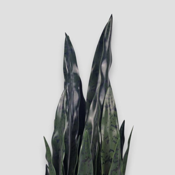 Sztuczna roślina Sansewieria Zelenica 90cm