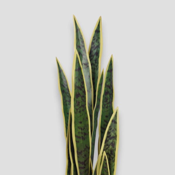 Sztuczna roślina doniczkowa Sansewieria Laurentii 90cm