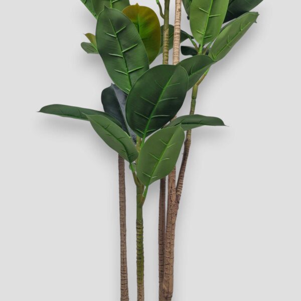 Sztuczne drzewo dębowe Fikus 220cm