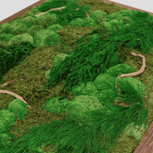 Obraz z mchu mieszanego Forest Gorge To idealny sposób na dodanie unikalnego charakteru Twojemu domowi lub biuru.