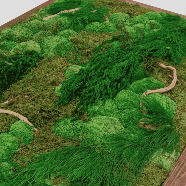 Obraz z mchu mieszanego Forest Gorge To idealny sposób na dodanie unikalnego charakteru Twojemu domowi lub biuru.