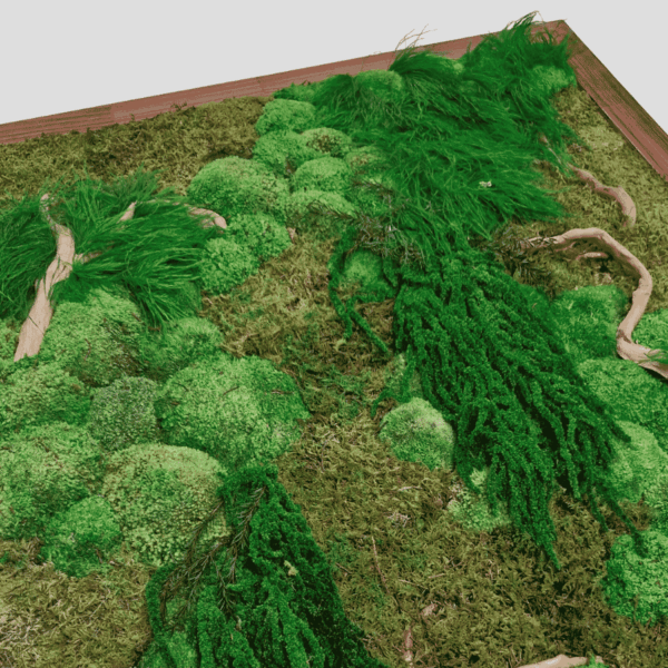 Obraz z mchu mieszanego Forest Gorge To idealny sposób na dodanie unikalnego charakteru Twojemu domowi lub biuru.
