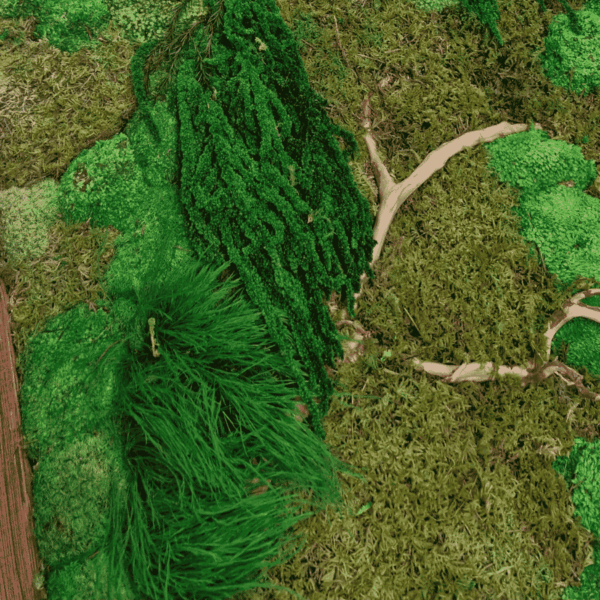 Obraz z mchu mieszanego Forest Gorge To idealny sposób na dodanie unikalnego charakteru Twojemu domowi lub biuru.