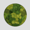 Obraz_z_mchu_poduszkowego_Circle_of_Moss