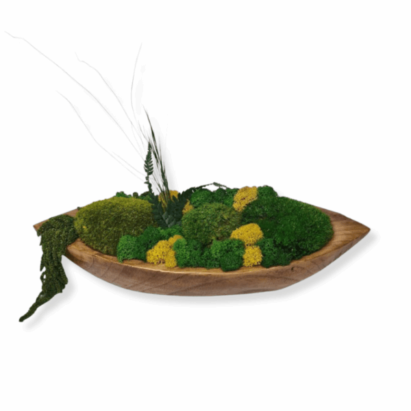 Drewniana misa M z mchem i roślinami stabilizowanymi
