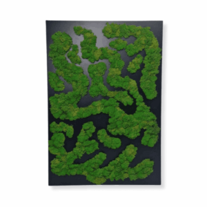 Obraz z mchu chrobotka Nature Rivers