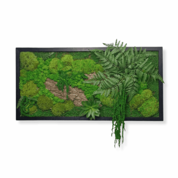 Obraz z mchu mieszanego Green Forest