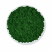 Obraz modułowy z mchu chrobotka – Vert Circle S