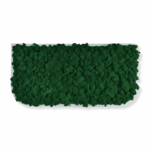 Obraz z mchu chrobotka Vert-Large