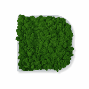 Obraz modułowy z mchu chrobotka – Vert Light