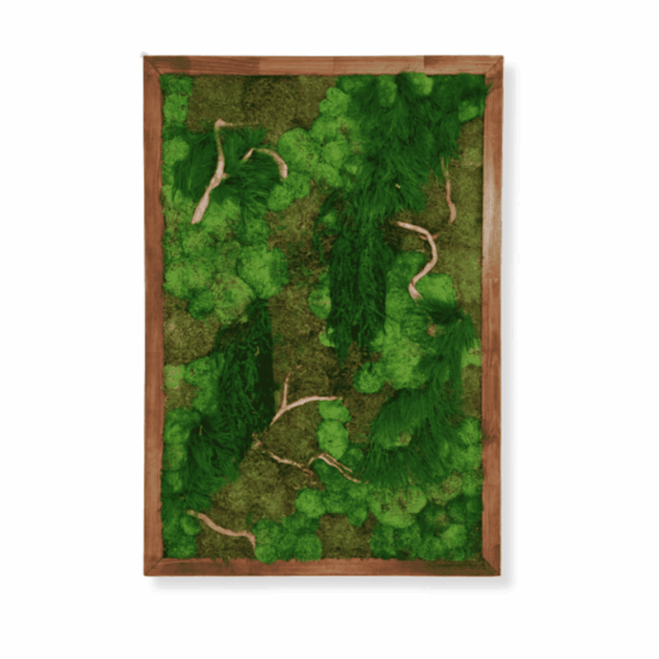 Obraz z mchu mieszanego Forest Gorge To idealny sposób na dodanie unikalnego charakteru Twojemu domowi lub biuru.