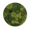 Obraz_z_mchu_poduszkowego_Circle_of_Moss