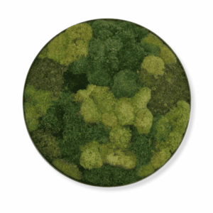 Obraz_z_mchu_poduszkowego_Circle_of_Moss