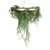 Obręcz roślinna zielony sufit Hanging garden 60cm