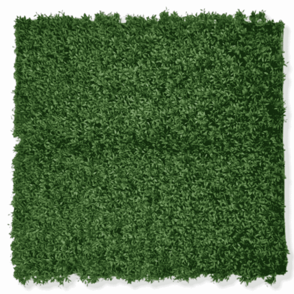 Panel Zielona ściana Modest Green 100x100cm