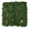 Panel Zielona ściana Variety Panel Zielona ściana Variety 100x100cm