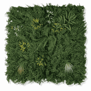Panel Zielona ściana Variety 100x100cm