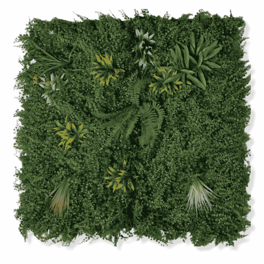 Panel Zielona ściana Variety 100x100cm