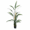 Sztuczna roślina Alpinia Zwyczajna 200cm