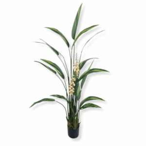 Sztuczna roślina Alpinia Zwyczajna 200cm