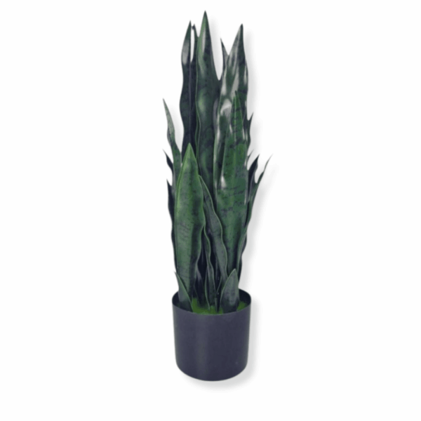Sztuczna roślina Sansewieria Zelenica 65cm Sztuczna roślina Sansewieria Zelenica 65cm