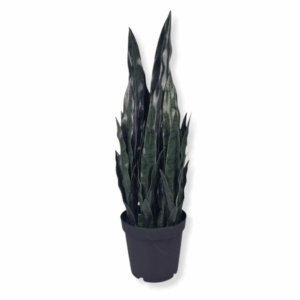 Sztuczna roślina Sansewieria Zelenica 90cm