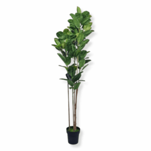 Sztuczne drzewo dębowe Fikus 220cm