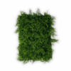 Panel Zielona ściana Wild Fern 60x40cm 1 Zielona ściana i ogród wertykalny