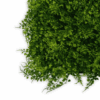 Panel Zielona ściana Wild Fern 60x40cm pod kątem Zielona ściana i ogród wertykalny