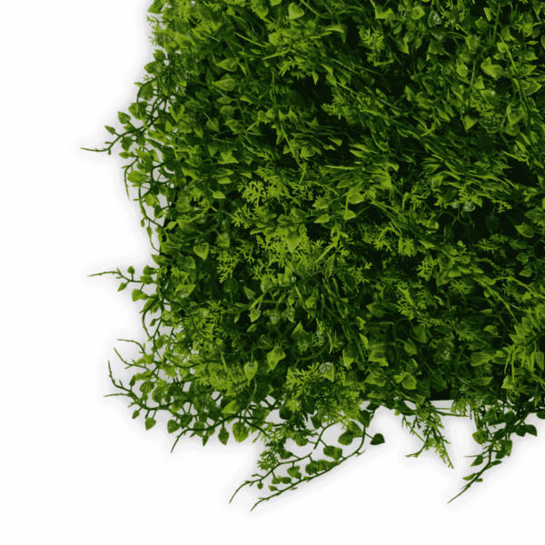 Panel Zielona ściana Wild Fern 60x40cm pod kątem Zielona ściana i ogród wertykalny