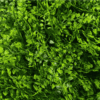 Panel Zielona ściana Wild Fern 60x40cm z bliska Zielona ściana i ogród wertykalny