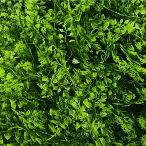 Panel Zielona ściana Wild Fern 60x40cm 3 Zielona ściana i ogród wertykalny