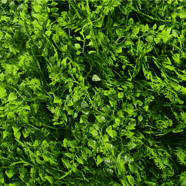 Panel Zielona ściana Wild Fern 60x40cm z bliska Zielona ściana i ogród wertykalny